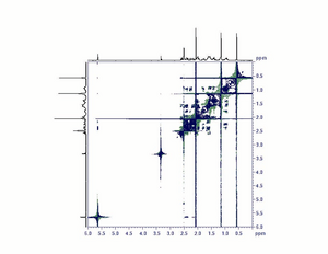 2D NMR Image.