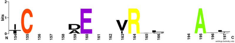 File:Final Final Core Logo.PNG