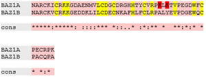 Sequence alignment of BAZ1A and BAZ1B PHD finger motifs