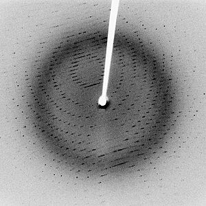 X-Ray Diffraction image.