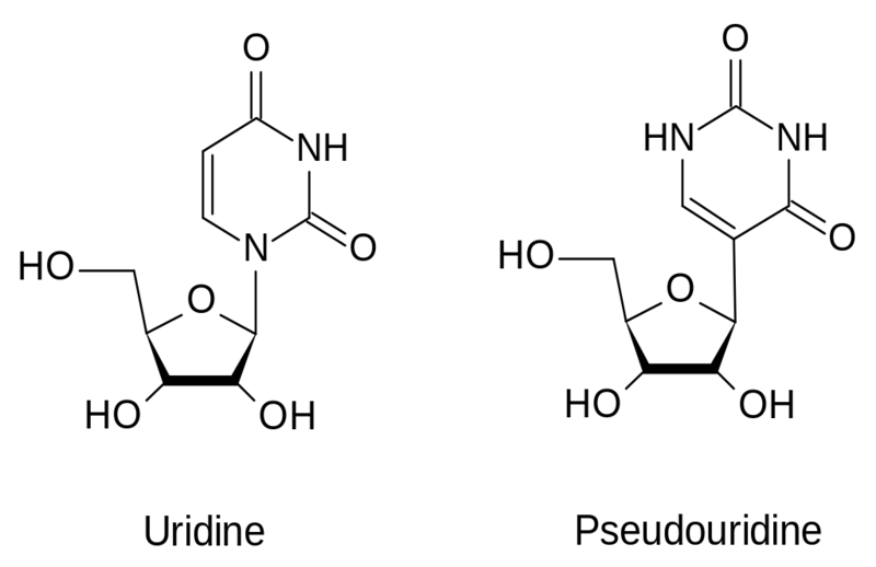 File:Pseudouridine.png