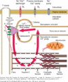 Thumbnail for version as of 16:11, 29 December 2013