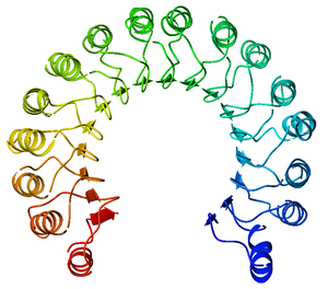 RNase Inhibitor.