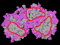 Thumbnail for version as of 01:29, 31 December 2014