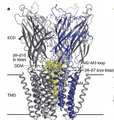 Thumbnail for version as of 14:40, 2 February 2015