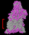 Thumbnail for version as of 01:50, 31 December 2014