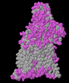 Thumbnail for version as of 01:01, 31 December 2014