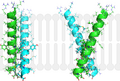 Thumbnail for version as of 16:49, 14 September 2020