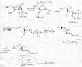 Thumbnail for version as of 07:32, 28 April 2010