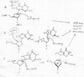 Thumbnail for version as of 07:48, 28 April 2010