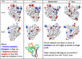 Thumbnail for version as of 00:22, 2 March 2021