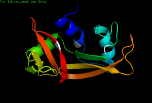 NMR Cartoon.