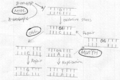 Thumbnail for version as of 19:57, 27 April 2010