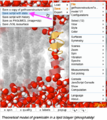 Thumbnail for version as of 00:01, 7 February 2019